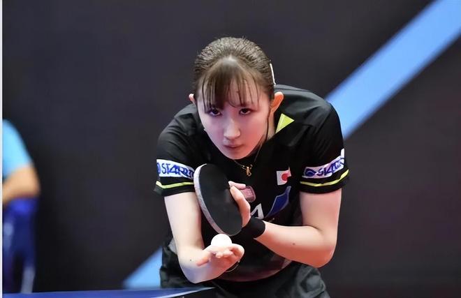 严密的法律 严密的法律